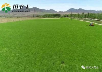 不忘初心，砥礪前行，我們一直在路上！